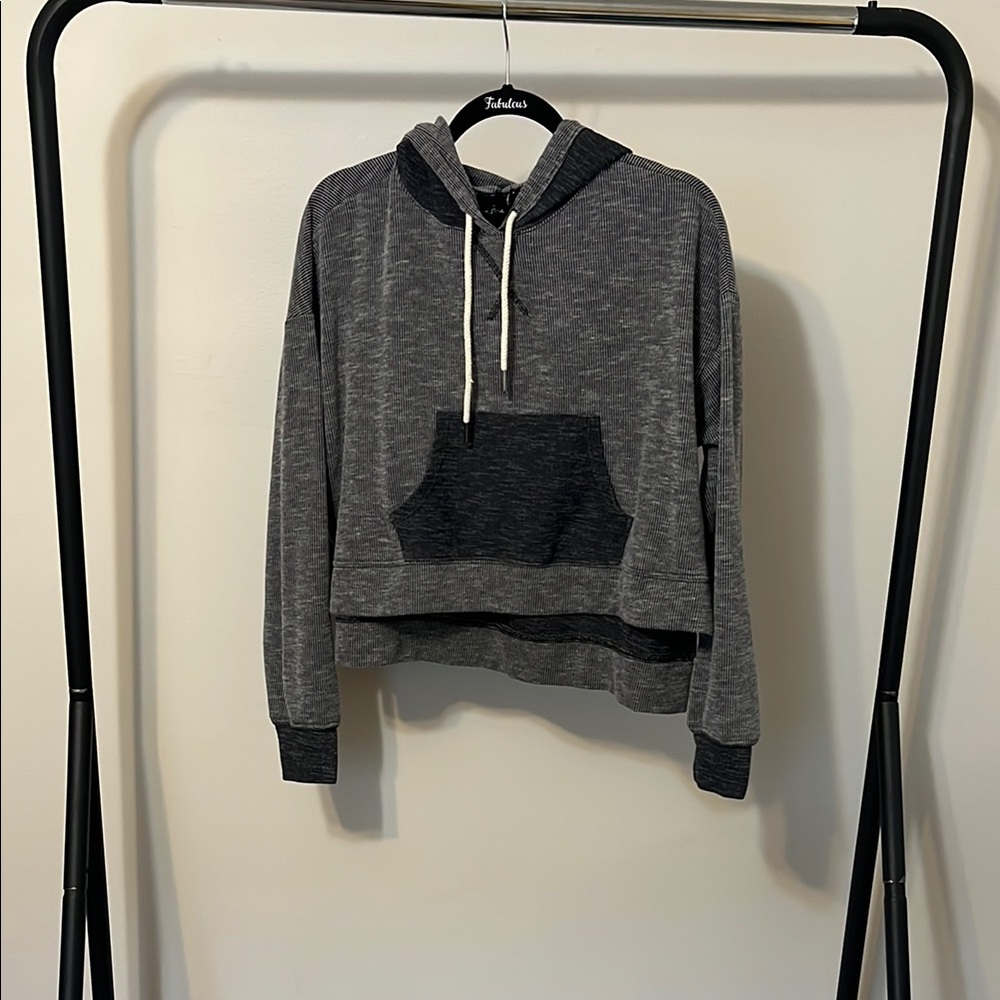 Urban Outfitters Gray Cropped Hoodie